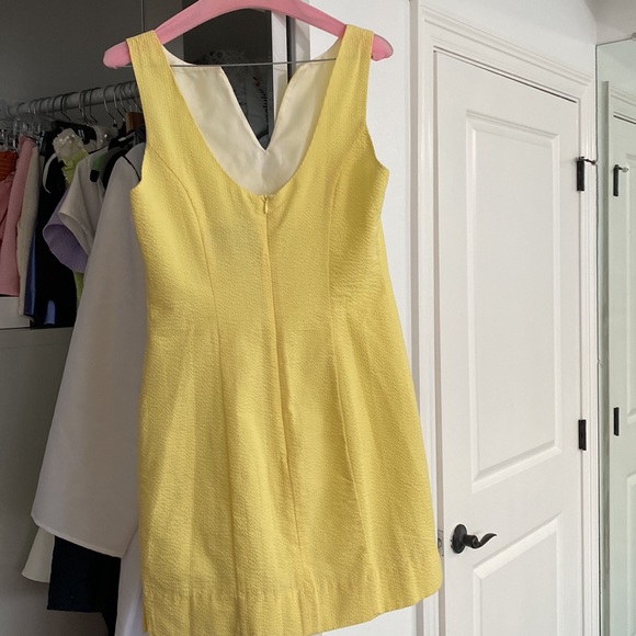 EUC WORN TWICE Lauren James Dress - Picture 3 of 5